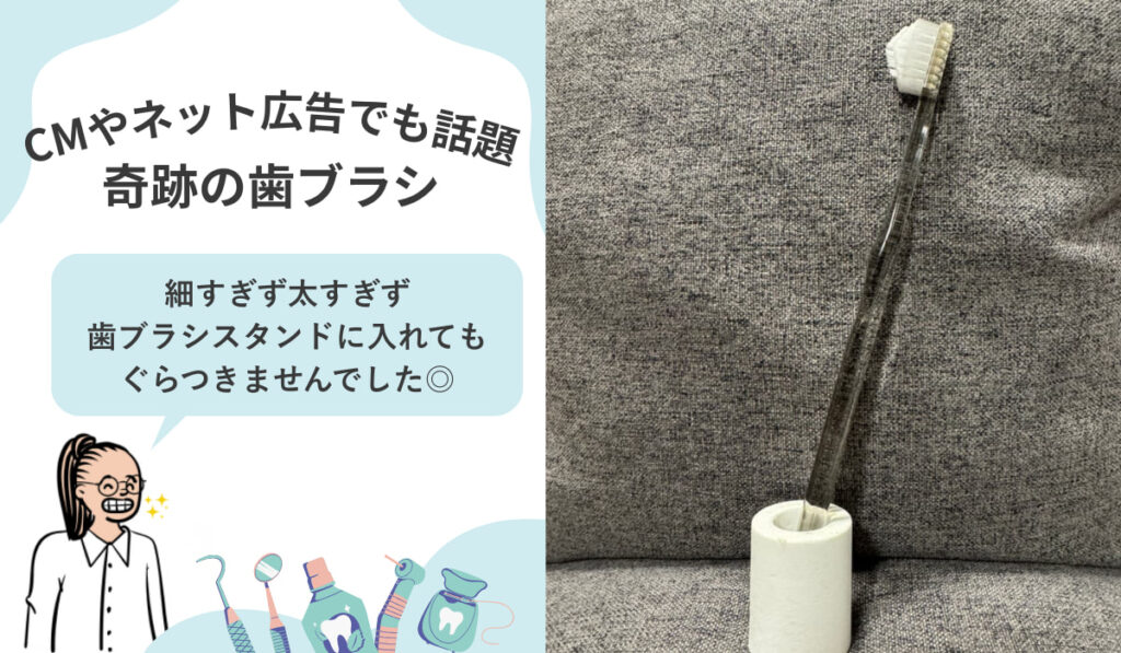奇跡の歯ブラシを歯ブラシスタンドに立てて収納している様子。綺麗にすっぽり収まる