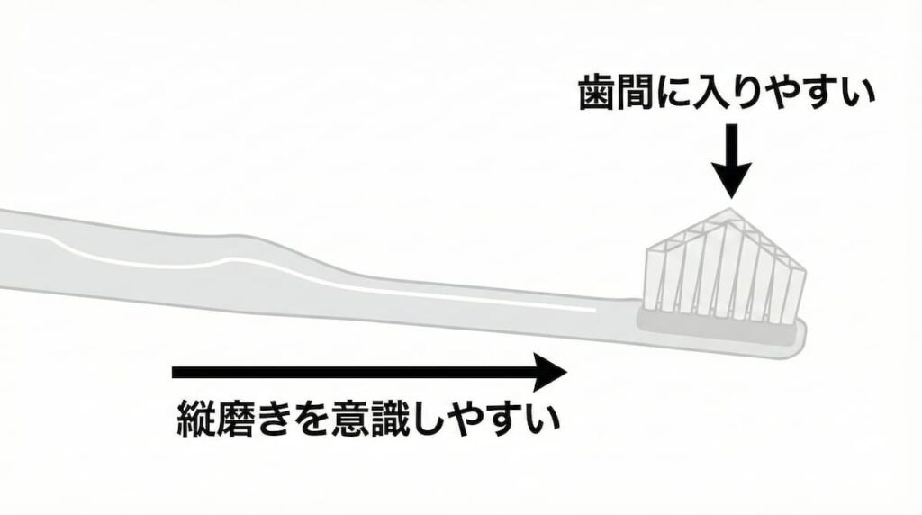 奇跡の歯ブラシのピラミッド形状と毛先構造を示した図解