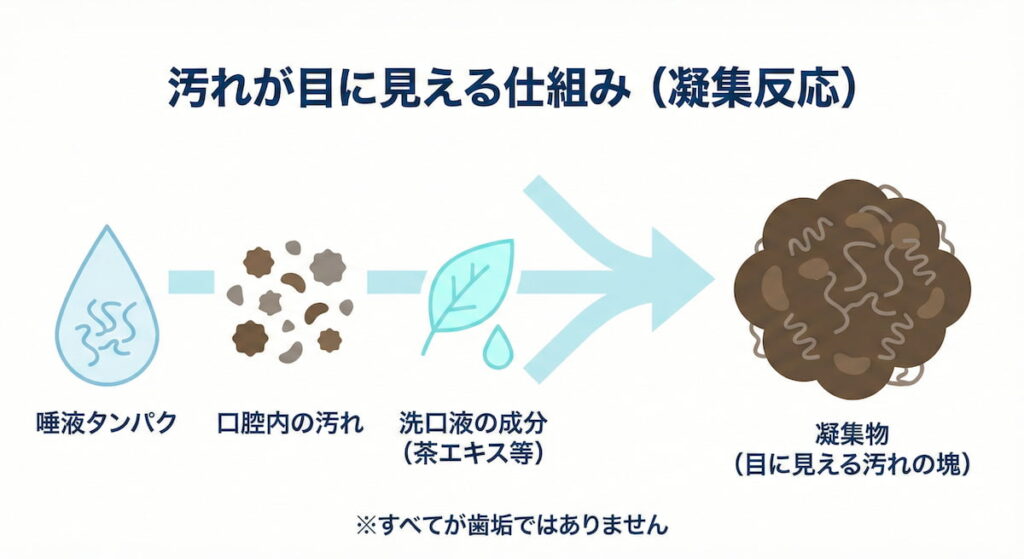 ゴッソトリノ洗口後に見える塊ができる仕組み(唾液タンパク質と成分の相互作用)の簡易図