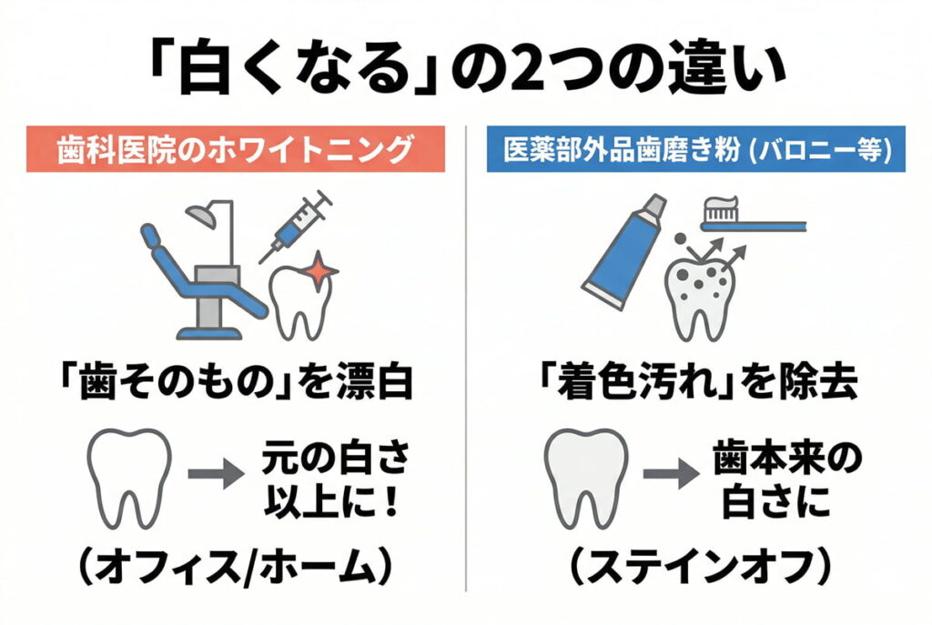 歯科ホワイトニングと医薬部外品ホワイトニングの効果の違いを比較した図解