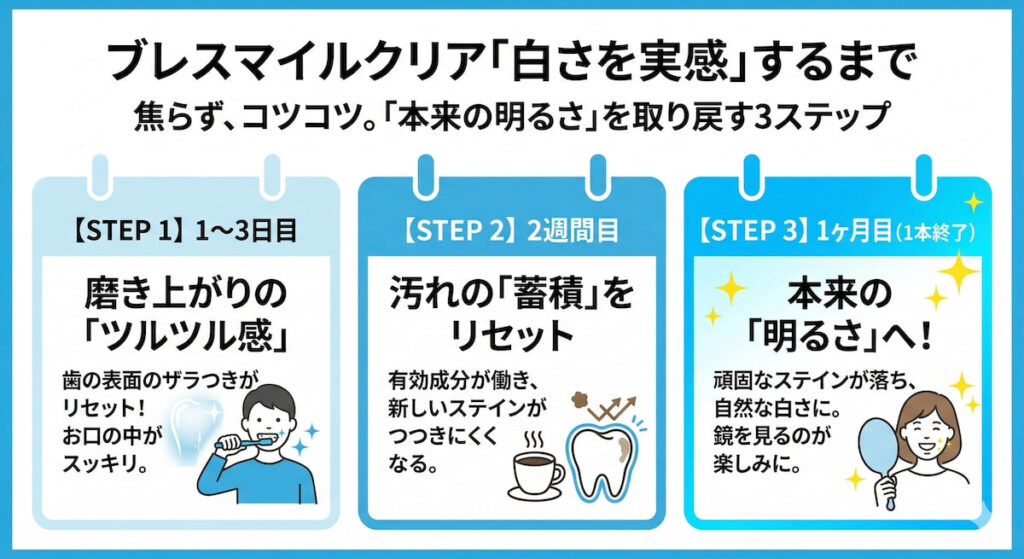 ブレスマイルクリアを1ヶ月間使用した際の、歯の明るさや変化の実感タイミングの目安
