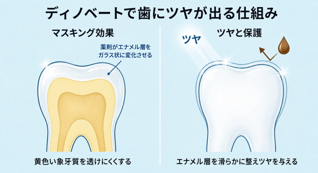 ディノベートの過酸化水素による漂白とマスキング効果で歯にツヤが出る仕組み。薬剤により、歯の表面のエナメル層をガラス状に変化させ、黄色い象牙質の色味を透けにくくします。
