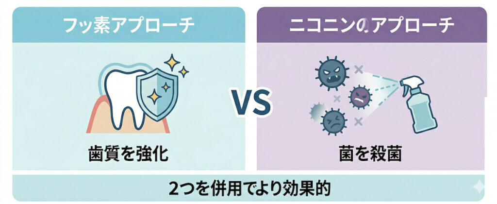 ニコニンフォーキッズの「フッ素不使用」と「2段構え」の考え方を解説した図解。フッ素入り歯磨き粉（歯質強化）とニコニン（殺菌）の組み合わせを推奨