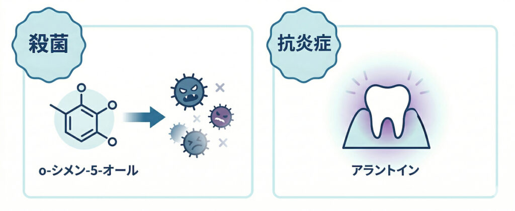 ニコニンフォーキッズの有効成分、o-シメン-5-オール（殺菌）とアラントイン（抗炎症）の働きを解説した図解