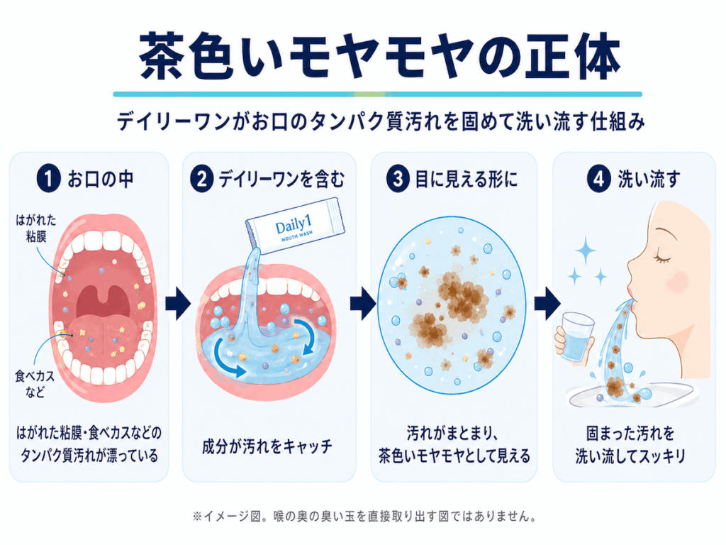 デイリーワンで口内のタンパク質汚れがまとまり、茶色いモヤモヤとして見えて洗い流される流れを4ステップで示した図解